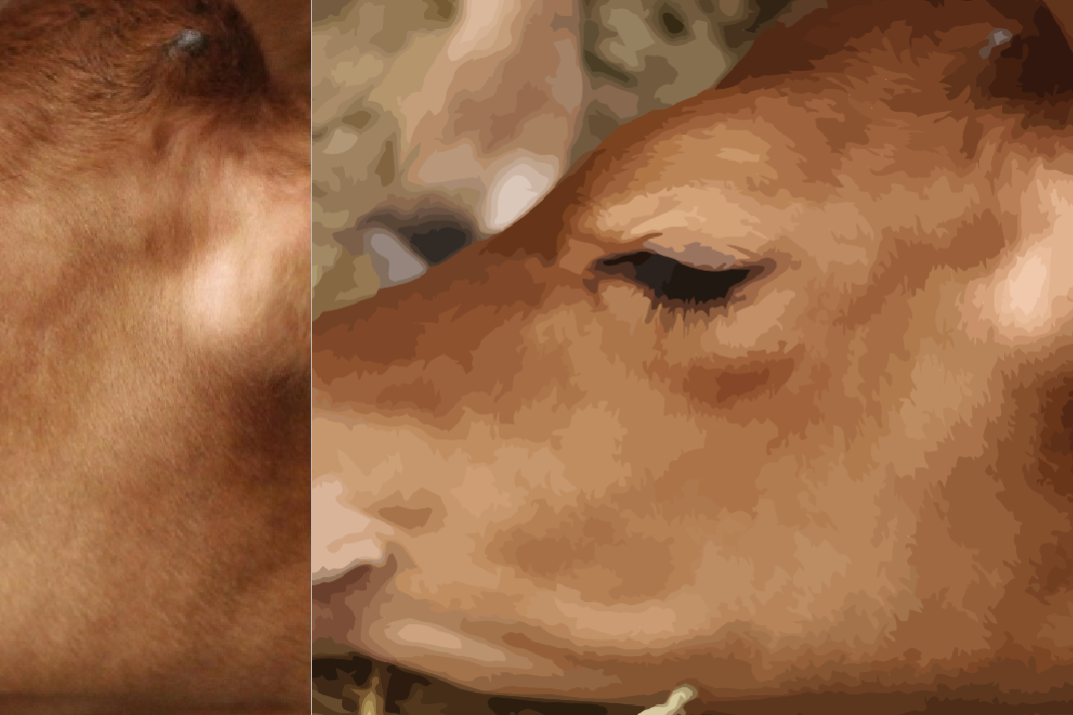 Seven Lean Cows